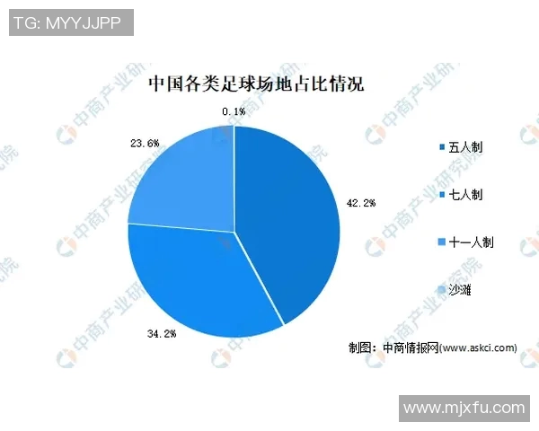 中甲联赛伤病动态全景追踪球员健康状况与恢复进展分析